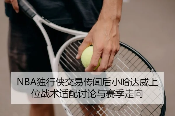NBA独行侠交易传闻后小哈达威上位战术适配讨论与赛季走向